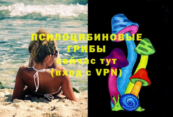 твердый Снежногорск
