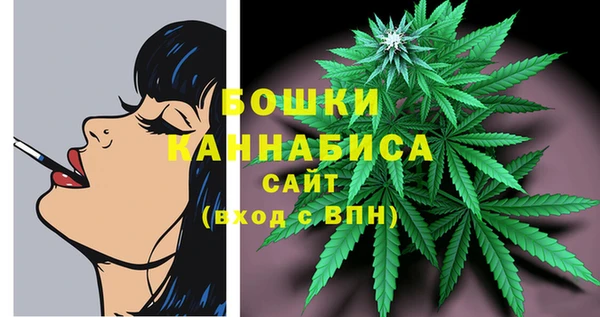 ПСИЛОЦИБИНОВЫЕ ГРИБЫ Богородицк