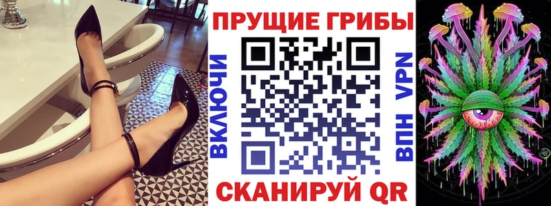 нарко площадка официальный сайт  Кирсанов  Псилоцибиновые грибы Magic Shrooms 